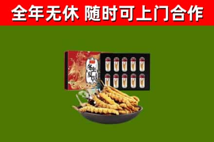 砀山烟酒回收冬虫夏草礼盒.jpg
